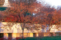 Community & Commercial Landscapes