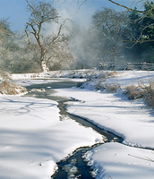 THE WINTER LANDSCAPE