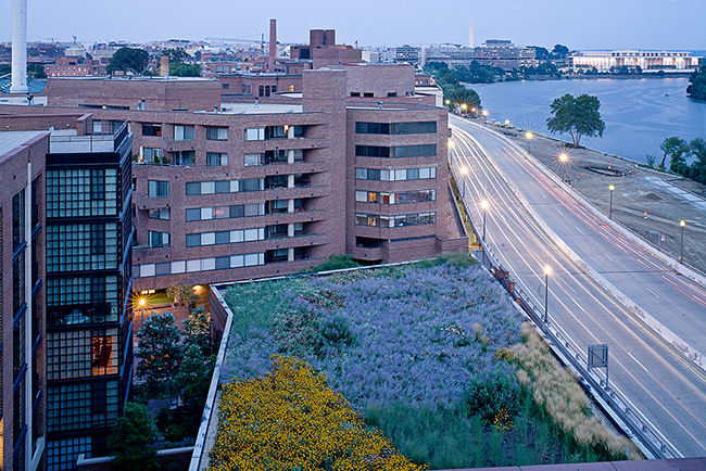 Rooftop garden, July, Washington, DC. Oehme, van Sweden & Assoc.