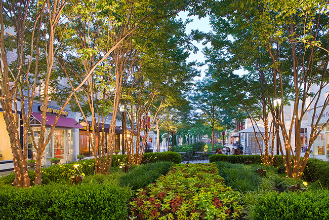 Stony Point Fashion Park, Richmond, VA, Chapel Valley Landscape Co.