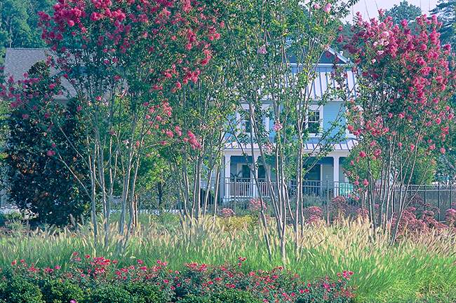The Peninsula, Rehoboth, DE. LSG Landscape Architects