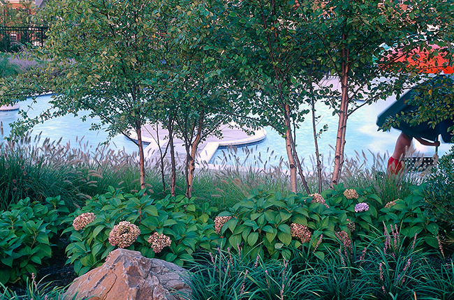 The Potomac Club at Lansdowne, Leesburg, VA. LSG Landscape Architects