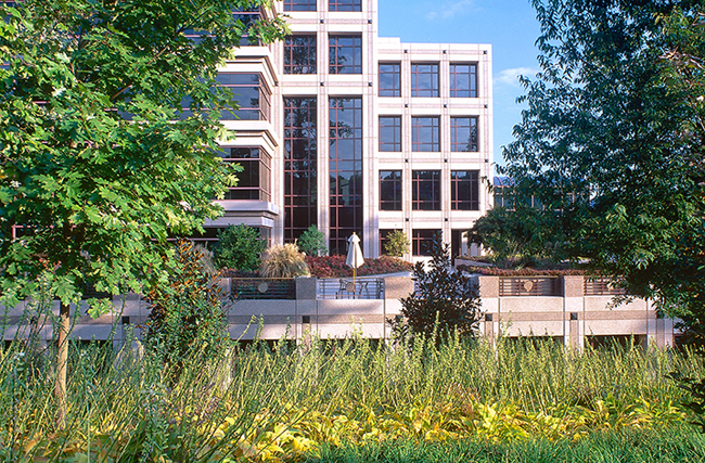 Freddie Mac corporate HQ, McLean, VA. Oehme, van Sweden & Assoc.