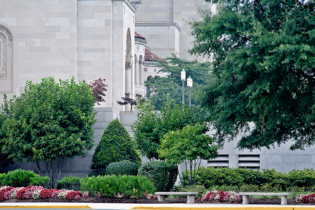 The National Shrine of the Immaculate Conception, Washington, DC. Chapel Valley Landscape Co.