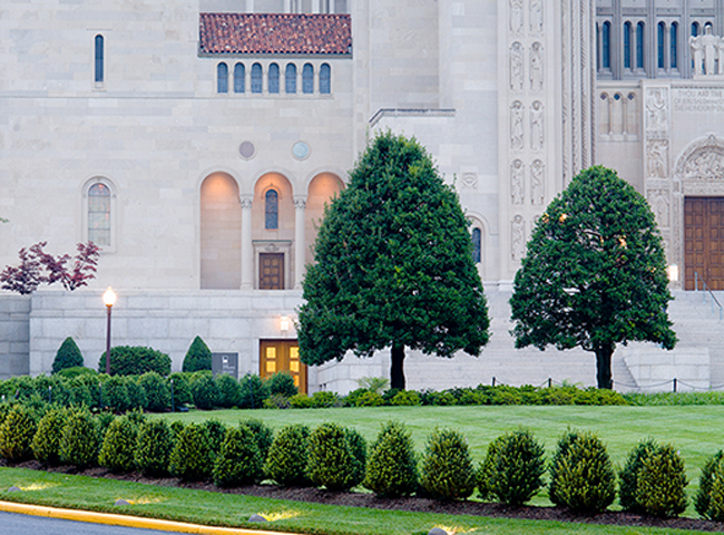 The National Shrine of the Immaculate Conception, Washington, DC. Chapel Valley Landscape Co.