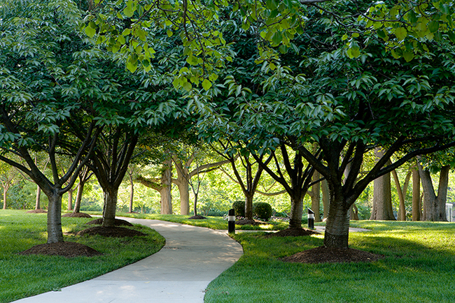 The National Shrine of the Immaculate Conception, Washington, DC. Chapel Valley Landscape Co.