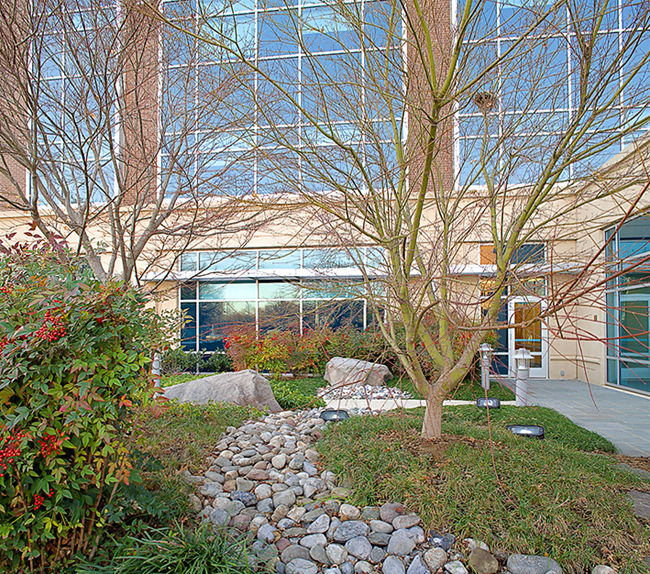 INOVA Heart and Vascular Institute, Fairfax, VA. LSG Landscape Architects