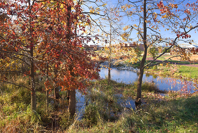 Aquiary Outdoor Interpretive Area, Ashburn, VA. LSG Landscape Architecure.