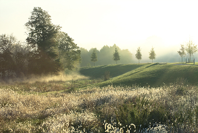 Aquiary Outdoor Interpretive Area, Ashburn, VA. LSG Landscape Architecure.