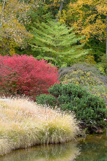 Sniper Victims' Memorial, Reflection Terrace, at Brookside Gardens, Wheaton, MD. Sunny Scully Landscape Architect