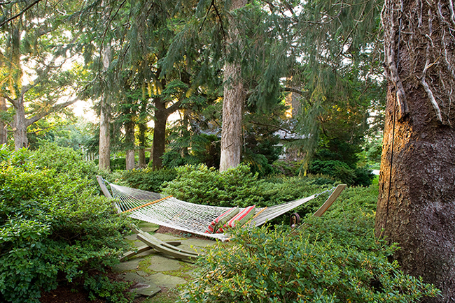 Virginia, DCA Landscape Architects