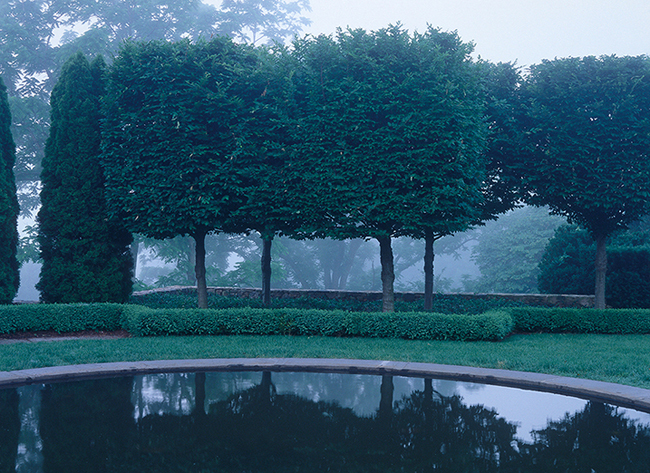 The garden at Mount Sharon.