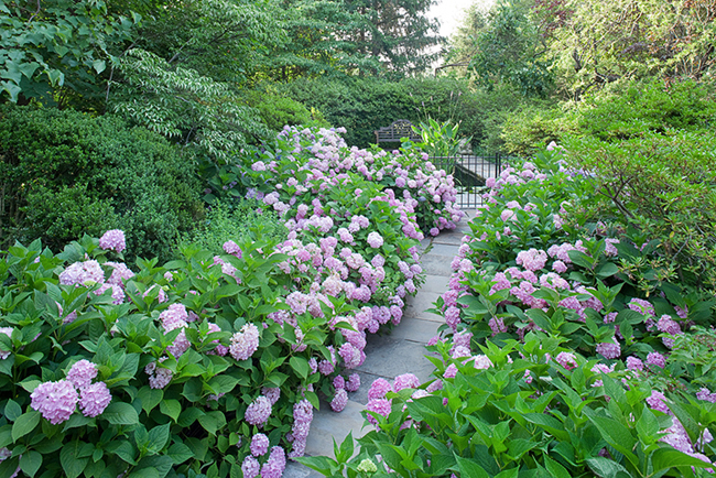 Virginia, DCA Landscape Architects