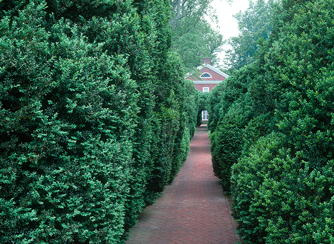 The garden at Mount Sharon.