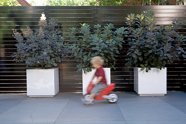 Washington, DC, William Morrow Landscape Design