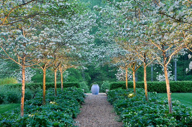 Virginia, Arentz Landscape Architects