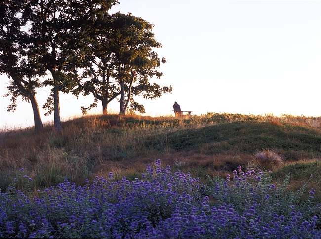 New York, Michael Blake Landscape Design