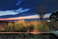 ©2024 Roger Foley - All Rights Reserved