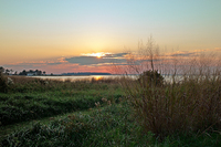 ©2024 Roger Foley - All Rights Reserved