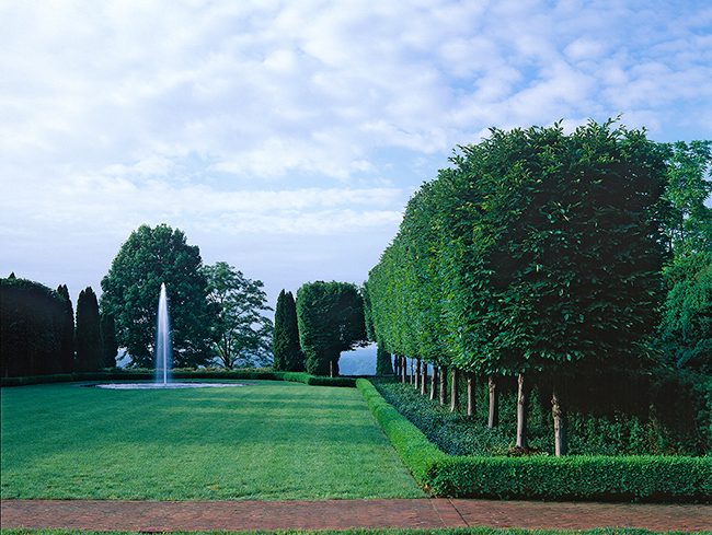 The garden at Mount Sharon.