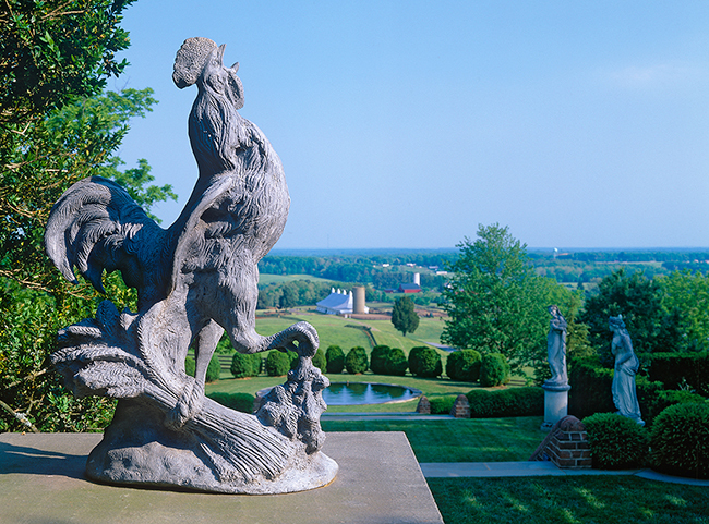 The garden at Mount Sharon.