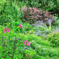 ©2022 Roger Foley - All Rights Reserved