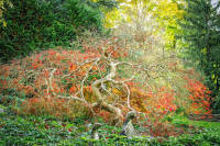 ©2022 Roger Foley - All Rights Reserved