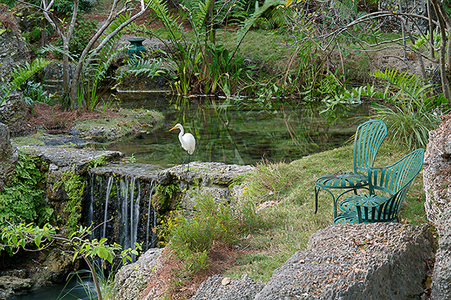 Coral Gables, Florida, Raymond Jungles Inc.