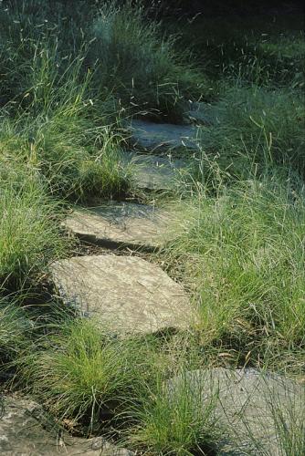 Washington, D.C., Tom Mannion Landscape Design