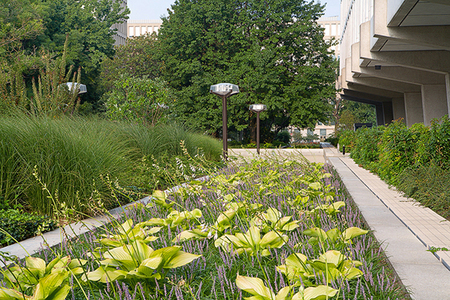 INSTITUTIONAL LANDSCAPES | Garden Photography, Landscape Architecture ...
